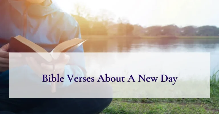 Bible Verses About A New Day