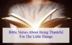 Bible Verses About Being Thankful For The Little Things