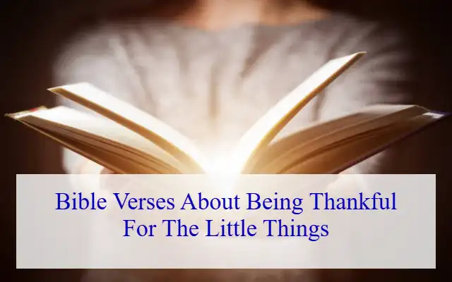 Bible Verses About Being Thankful For The Little Things