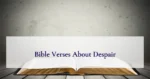 Bible Verses About Despair
