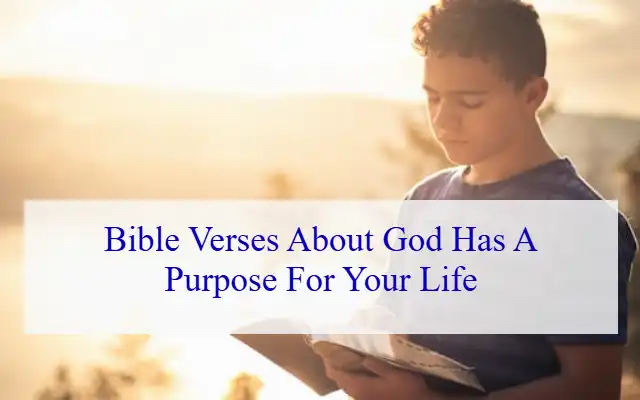 Bible Verses About God Has A Purpose For Your Life