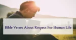 Bible Verses About Respect For Human Life
