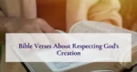 Bible Verses About Respecting God's Creation