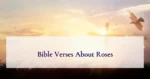 Bible Verses About Roses