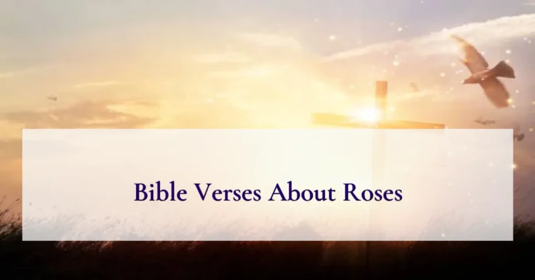 Bible Verses About Roses