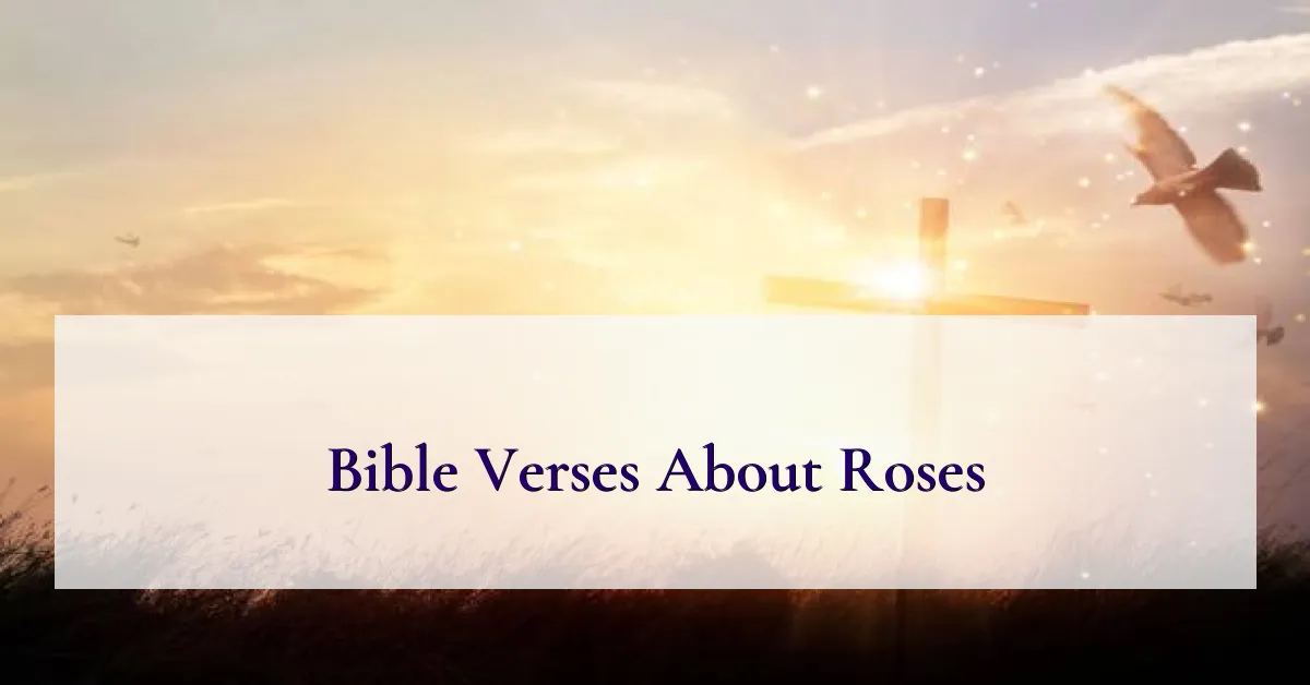 Bible Verses About Roses