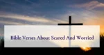 Bible Verses About Scared And Worried