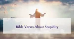 Bible Verses About Stupidity