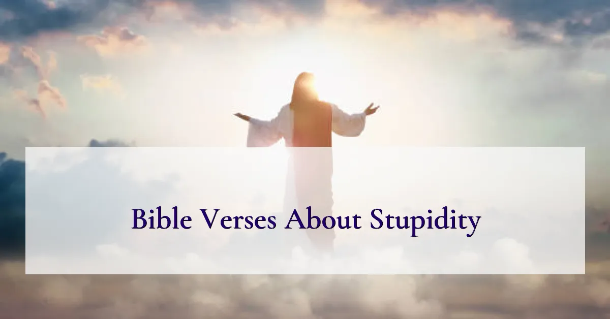 Bible Verses About Stupidity