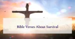 Bible Verses About Survival