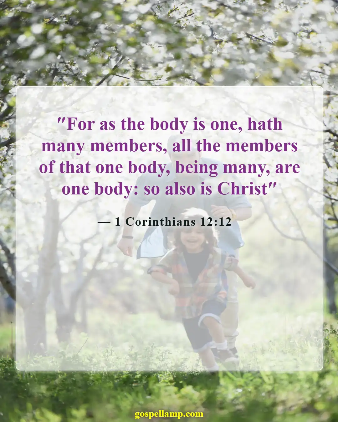 Bible Verses About Cultural Diversity (1 Corinthians 12:12)