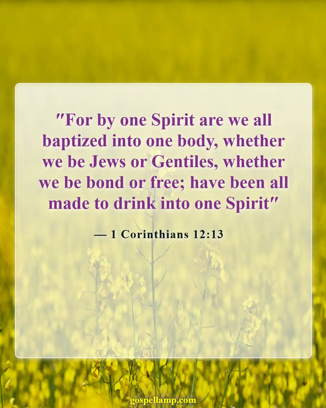 Bible Verses About God Accepting Everyone (1 Corinthians 12:13)