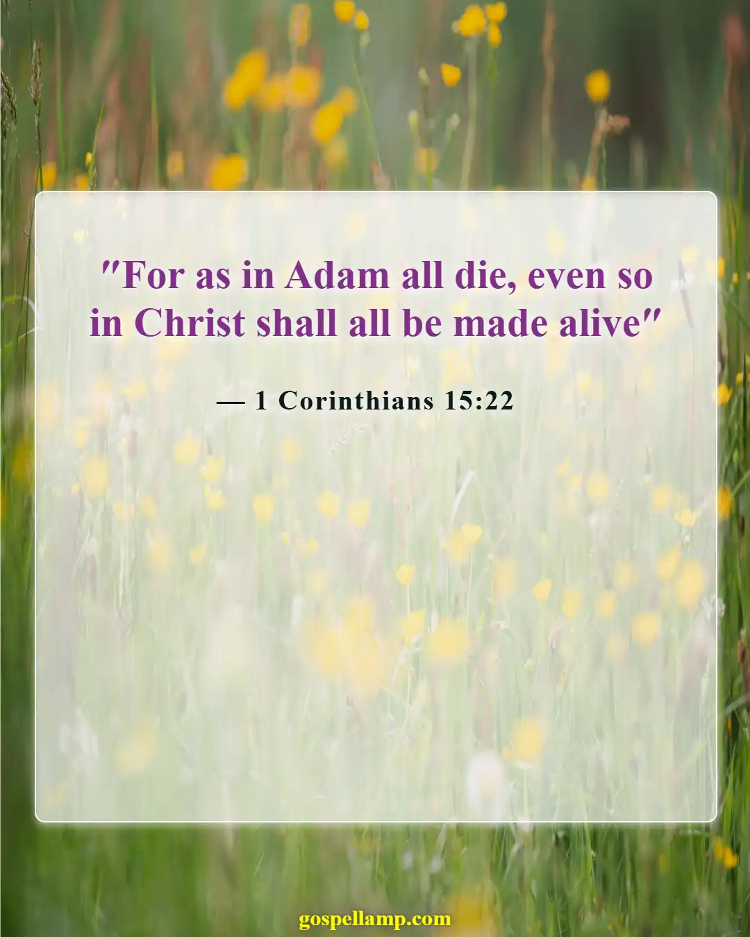 Bible Verses About Fall (1 Corinthians 15:22)