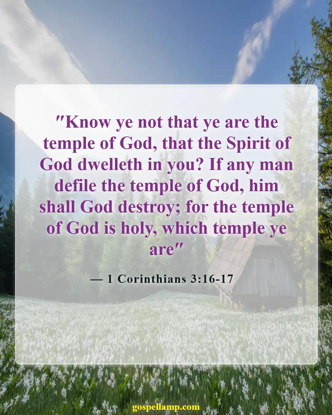 1 Corinthians 3:16-17 :- Body as God's temple, avoid destruction