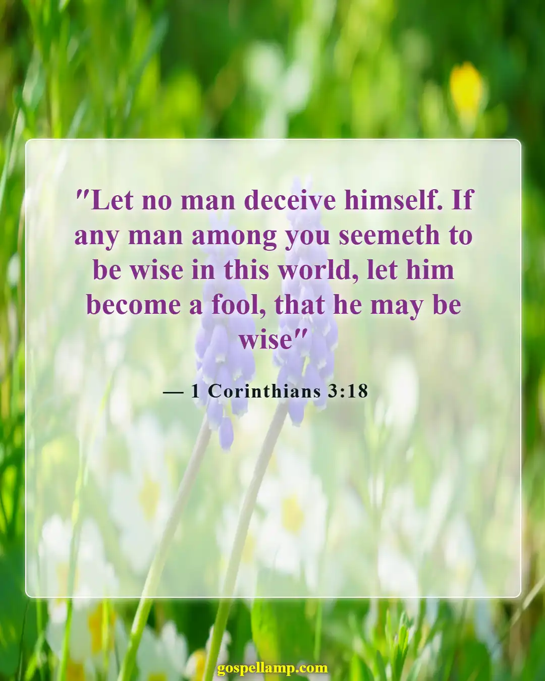 Bible Verses About Stupidity (1 Corinthians 3:18)
