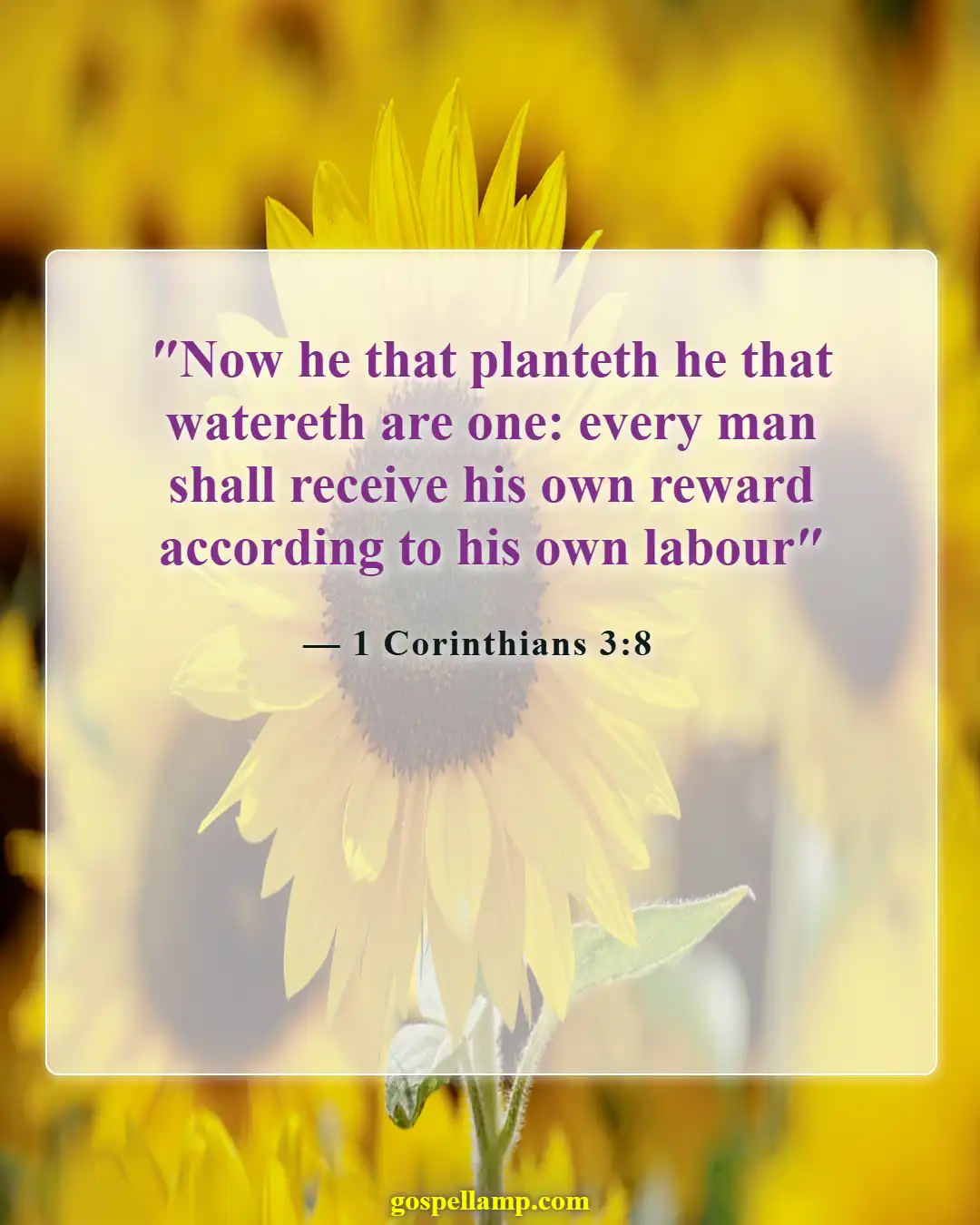 Bible Verses About Success And Hard Work (1 Corinthians 3:8)