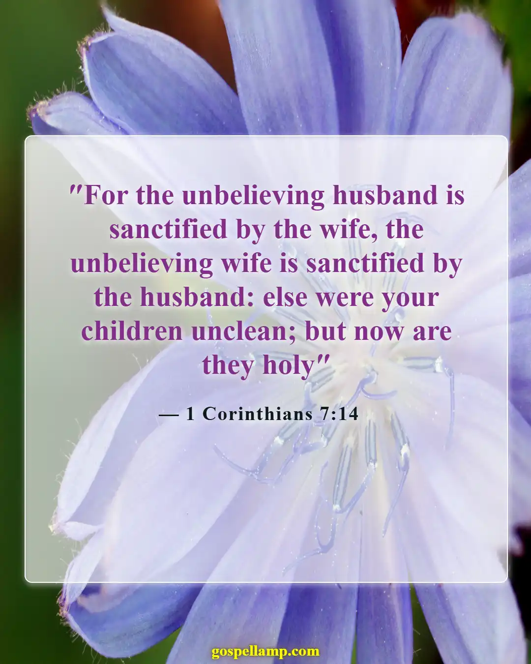 Bible Verses About Husband Being Spiritual Leader (1 Corinthians 7:14)