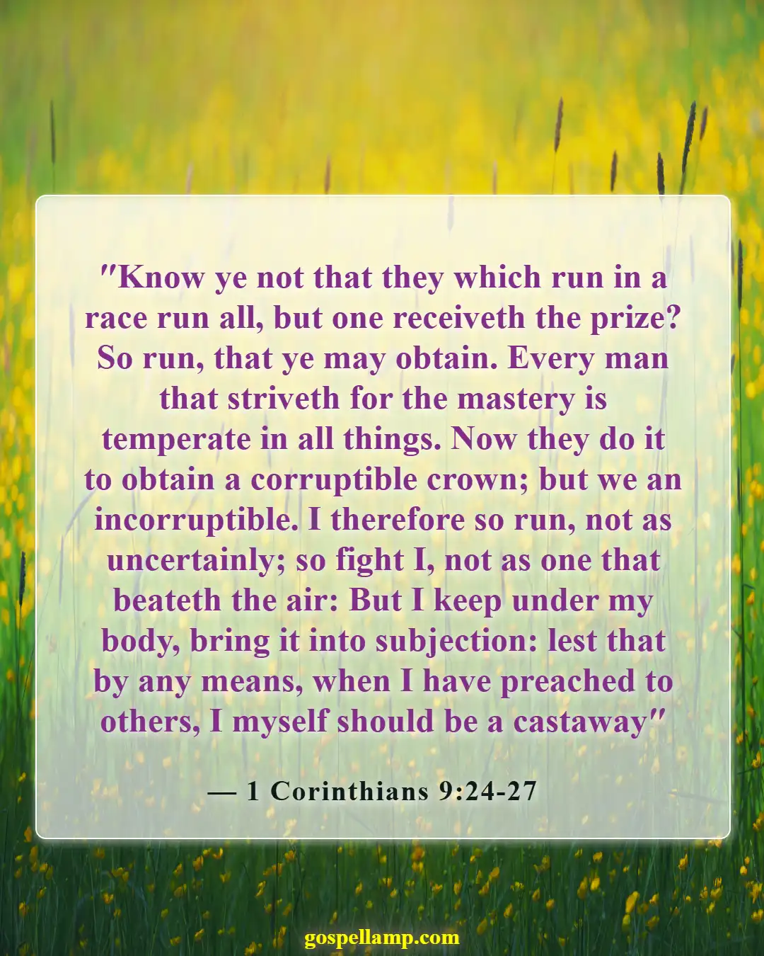 1 Corinthians 9:24-27 :- Discipline in life and avoiding distractions