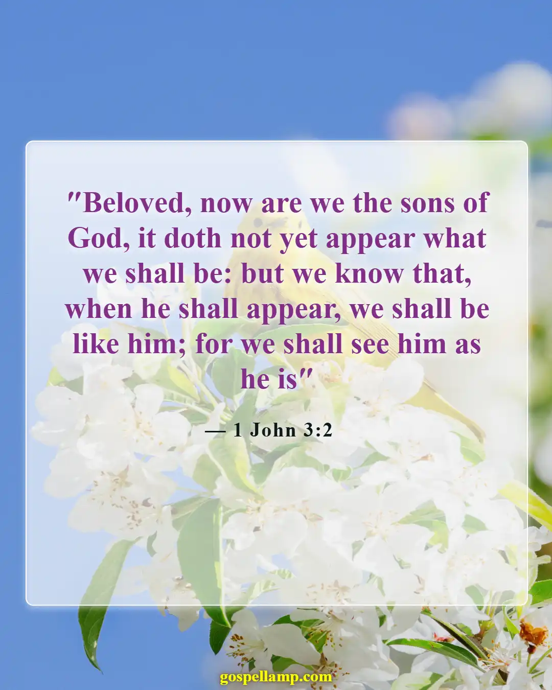 1 John 3:2 :- Hopeful anticipation of Christ's glorious return