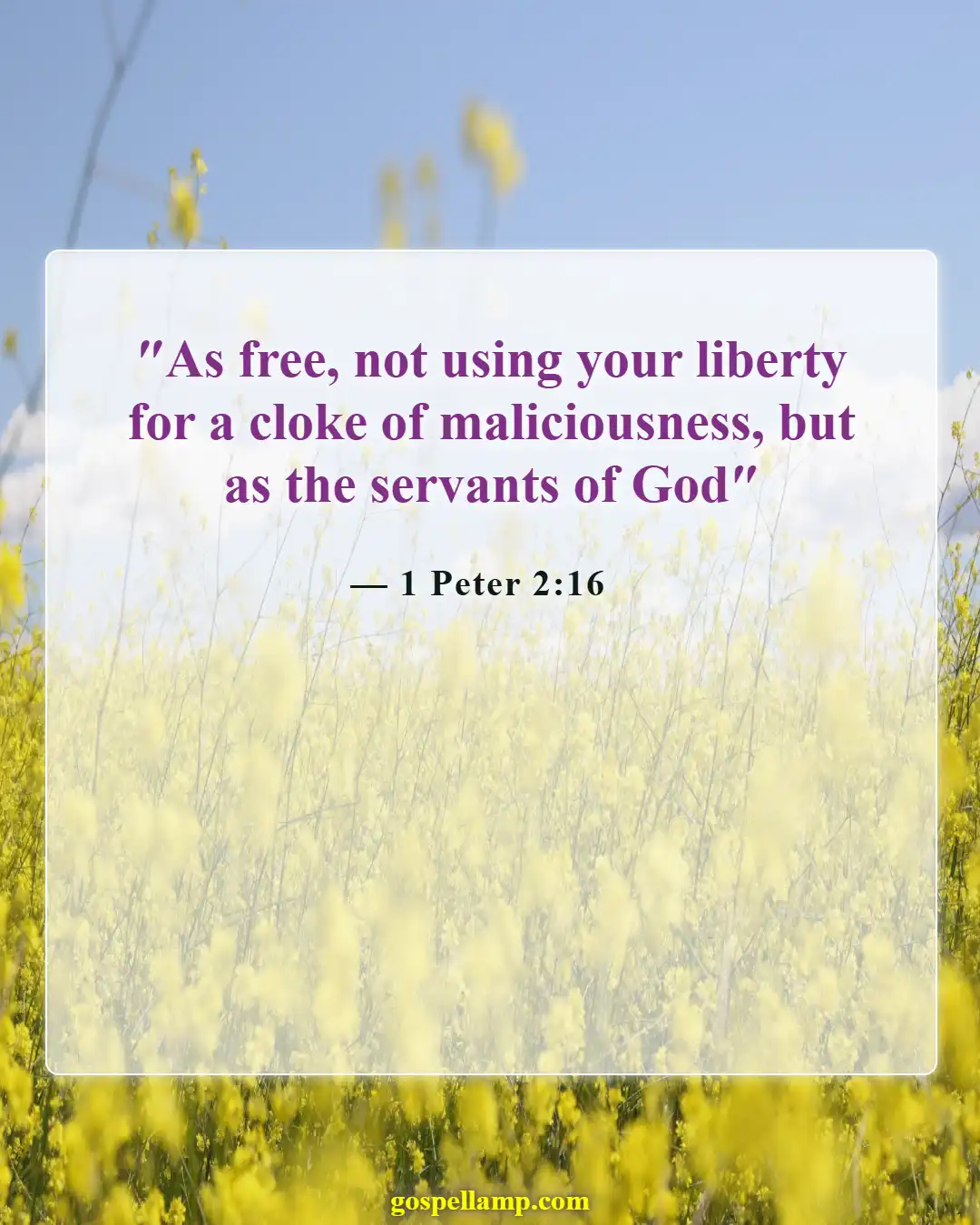 1 Peter 2:16 :- Live as free, not using freedom wrongly