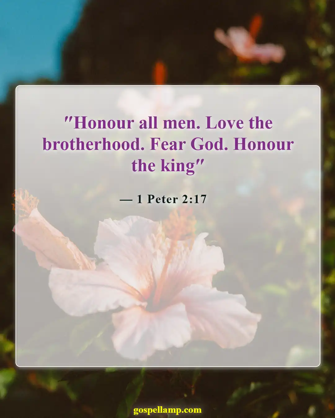 Bible Verses About Respect For Human Life (1 Peter 2:17)