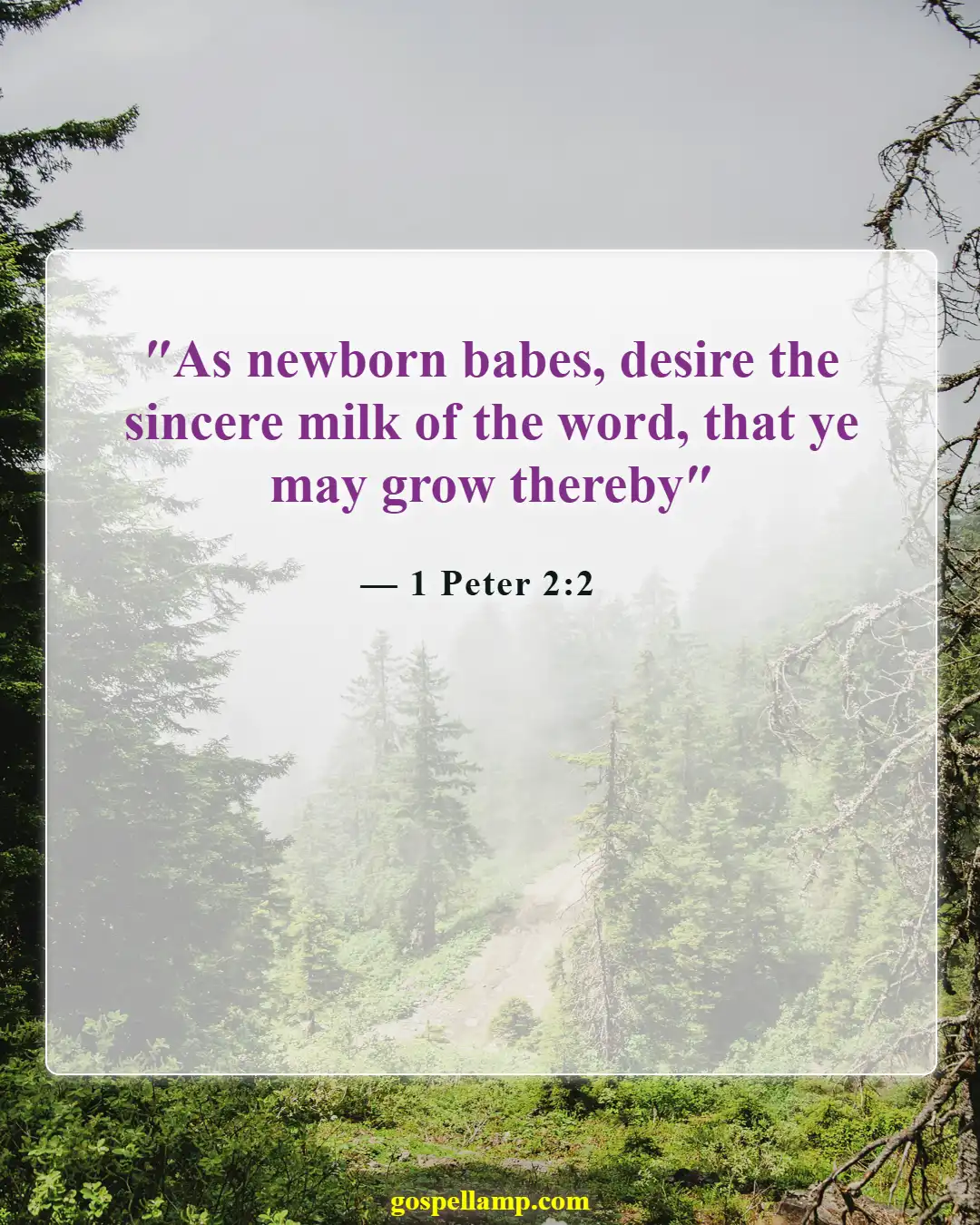 Bible Verses About Bearing Fruit (1 Peter 2:2)