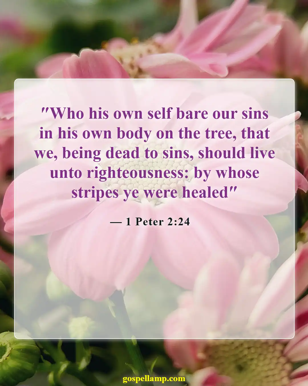 1 Peter 2:24 :- Bearing our sins for healing and strength