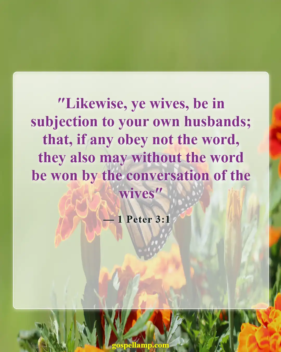 Bible Verses About Disrespecting Your Wife (1 Peter 3:1)