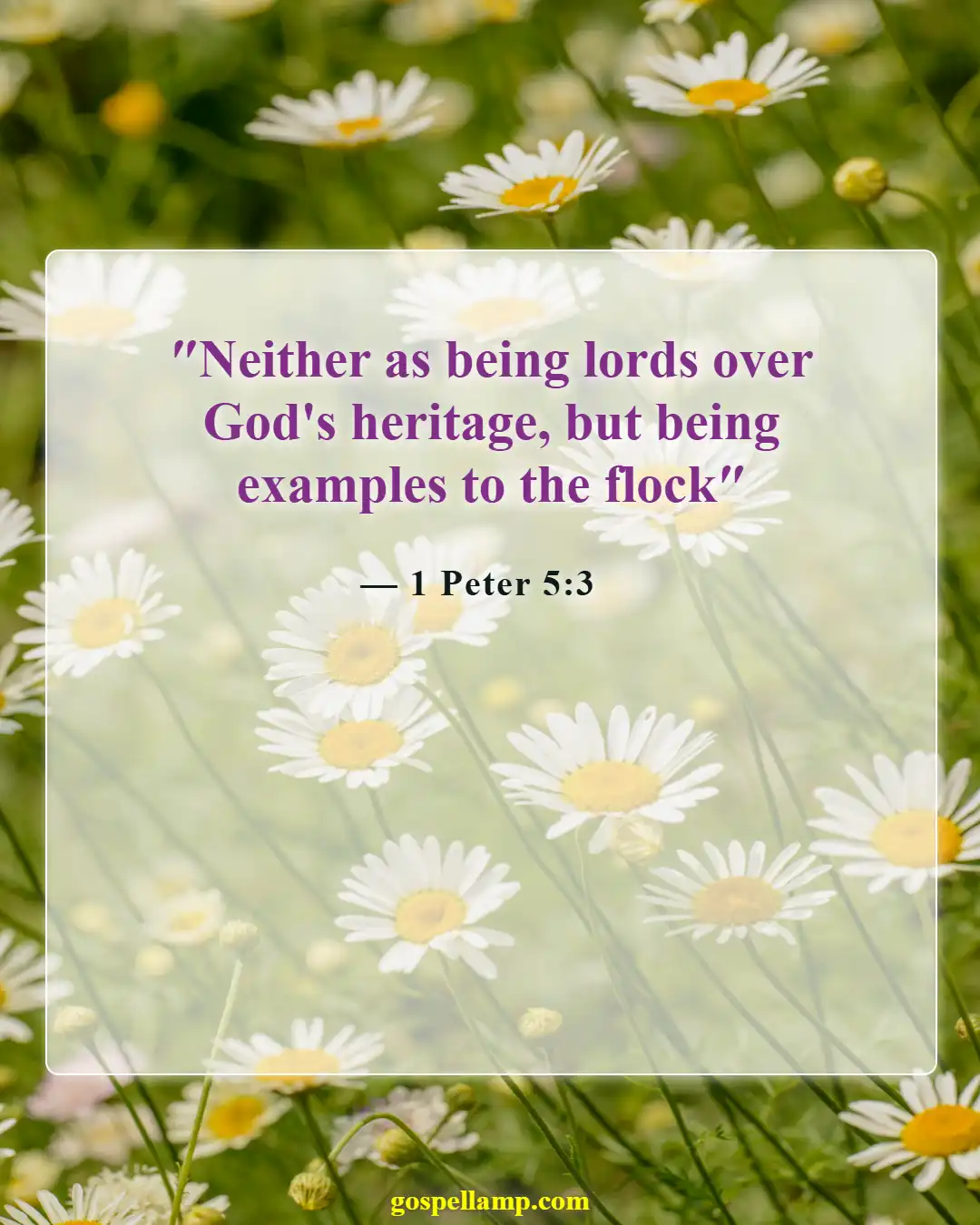 Bible Verses About Fathers Responsibilities (1 Peter 5:3)