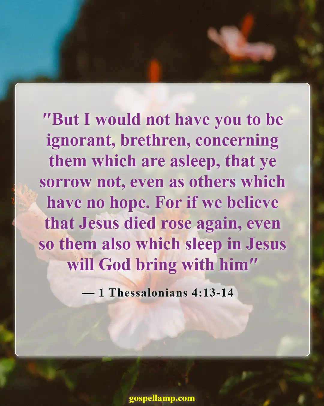 Bible Verses About Missing Someone (1 Thessalonians 4:13-14)