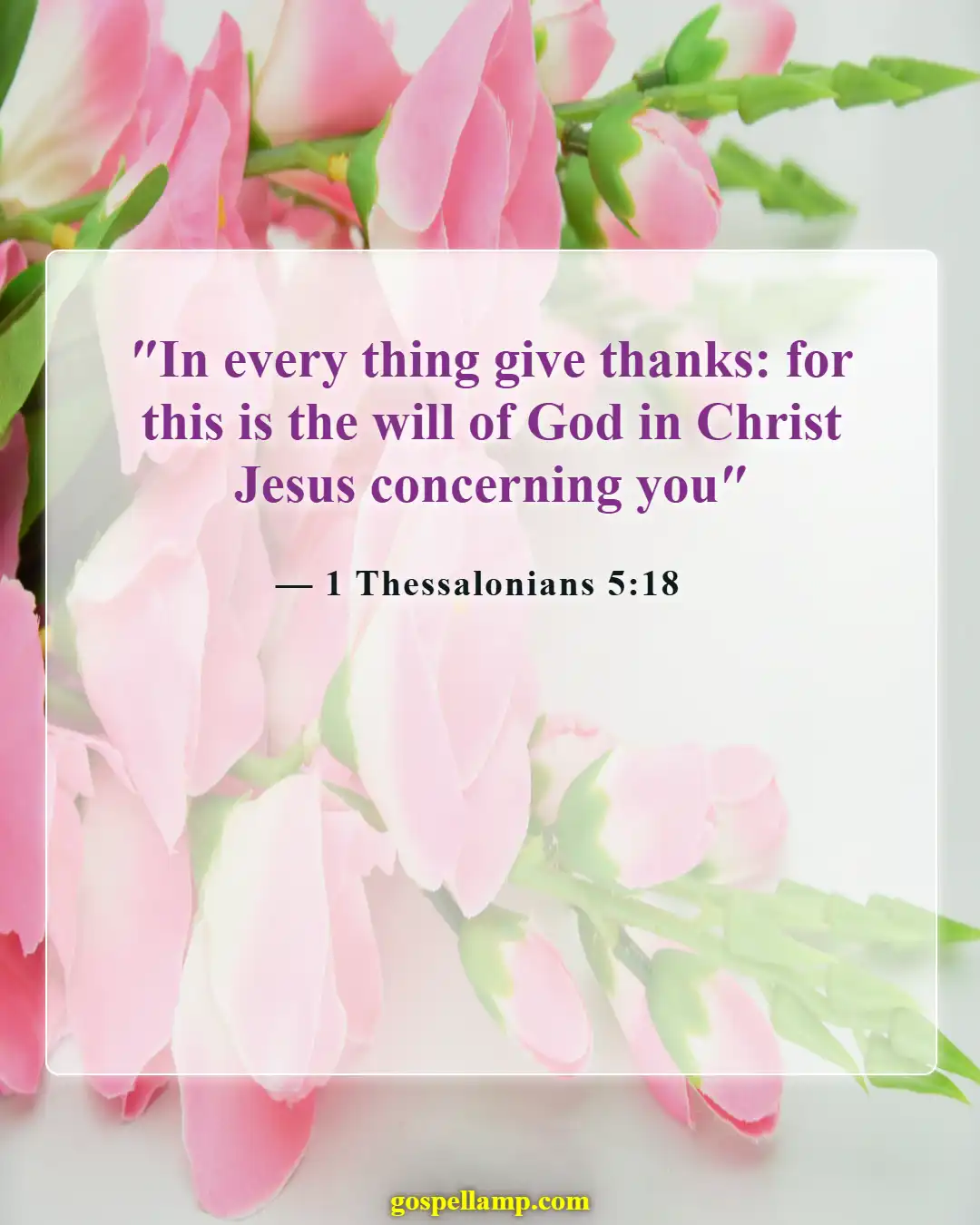 1 Thessalonians 5:18 :- Give thanks in all circumstances always
