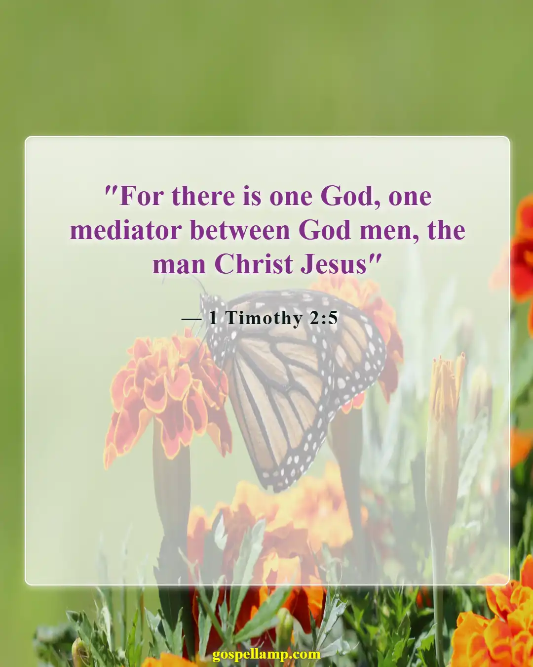 Bible Verses About God Saving Us From Hell (1 Timothy 2:5)