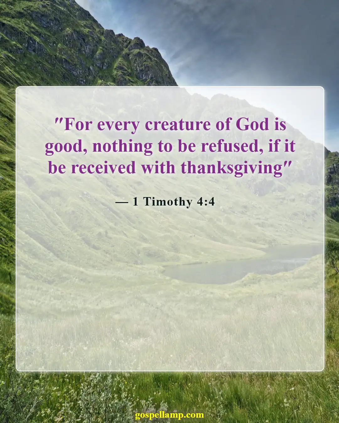 Bible Verses About Respecting God's Creation (1 Timothy 4:4)