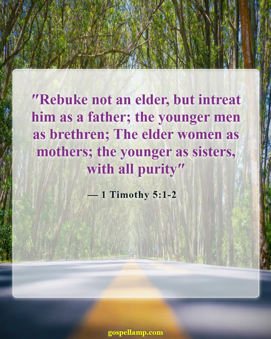 Bible Verses About Gratitude For Family (1 Timothy 5:1-2)