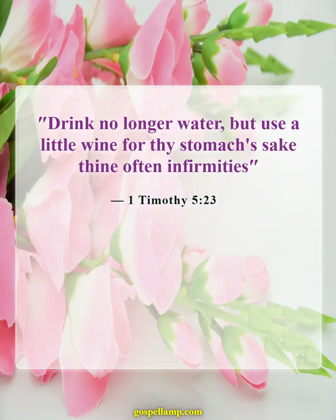 1 Timothy 5:23 :- Moderation in alcohol for health reasons