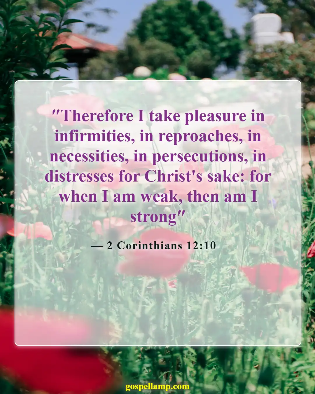 Bible Verses About Vulnerability (2 Corinthians 12:10)