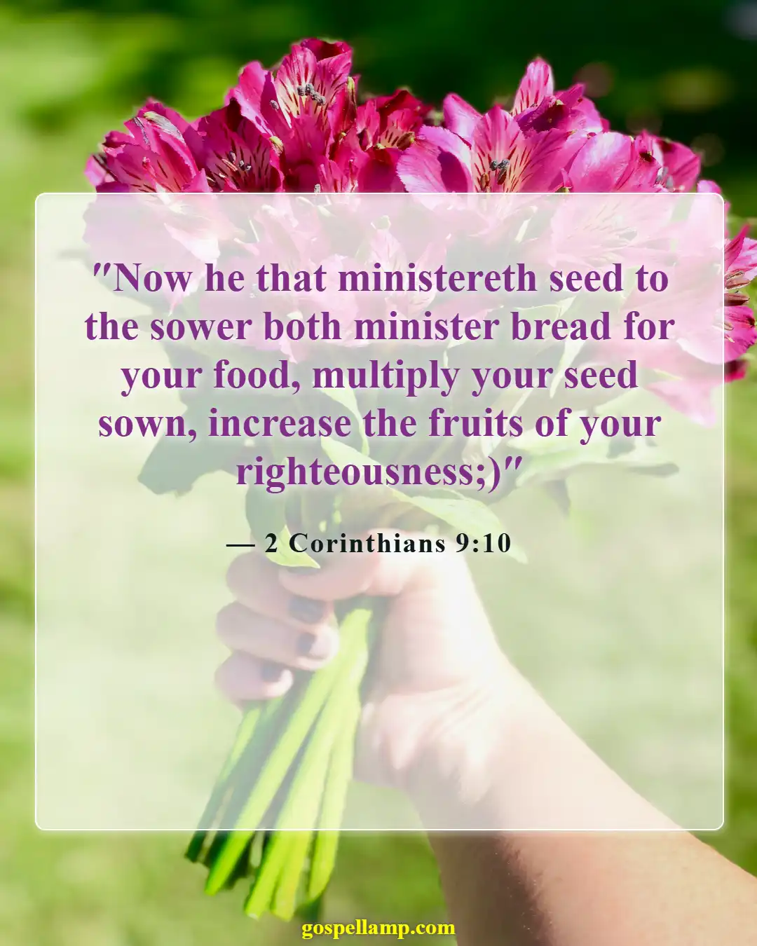 Bible Verses About Farming (2 Corinthians 9:10)