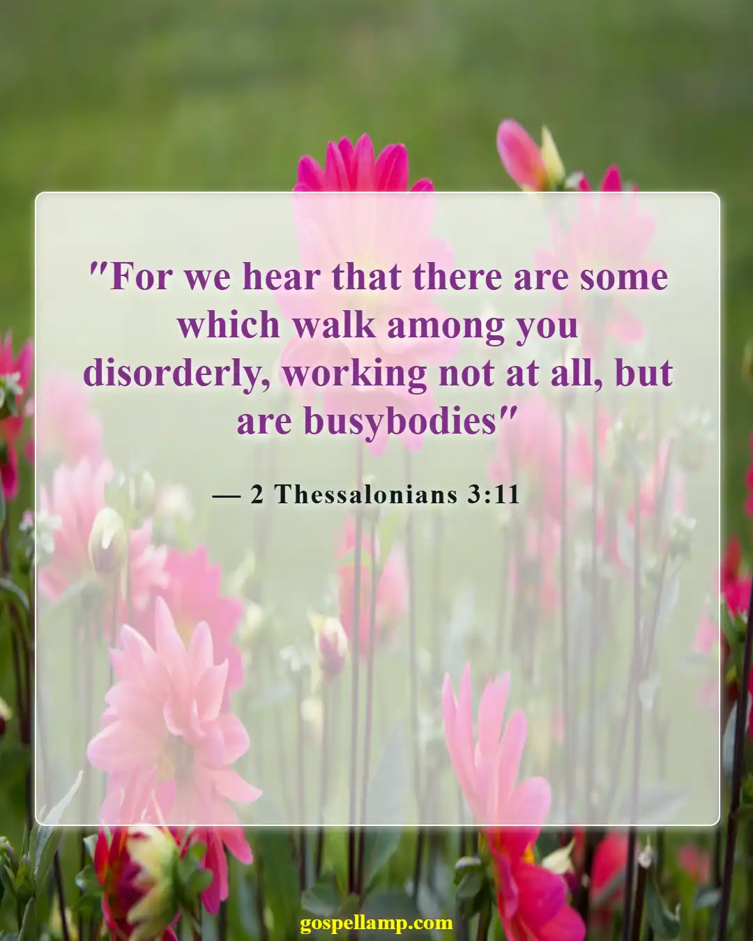 Bible Verses About Success And Hard Work (2 Thessalonians 3:11)