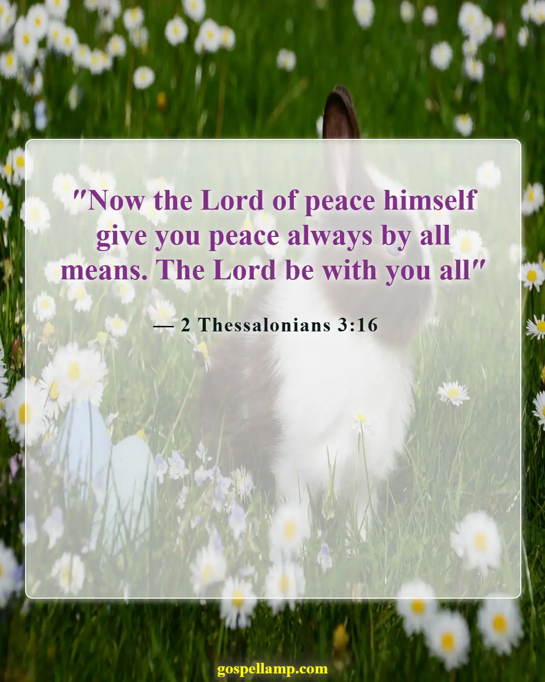 2 Thessalonians 3:16 :- God's peace in every circumstance assured