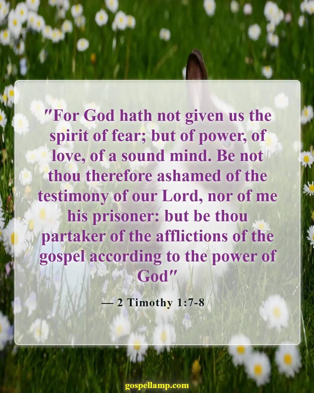 Bible Verses About Fighting Back (2 Timothy 1:7-8)