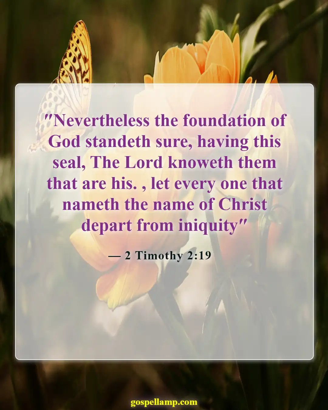 Bible Verses About Anchors (2 Timothy 2:19)