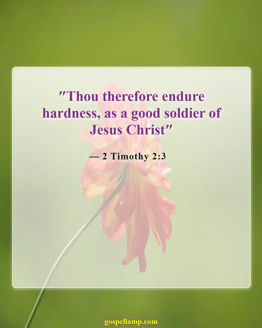 Bible Verses About Fighting Spiritual Warfare (2 Timothy 2:3)