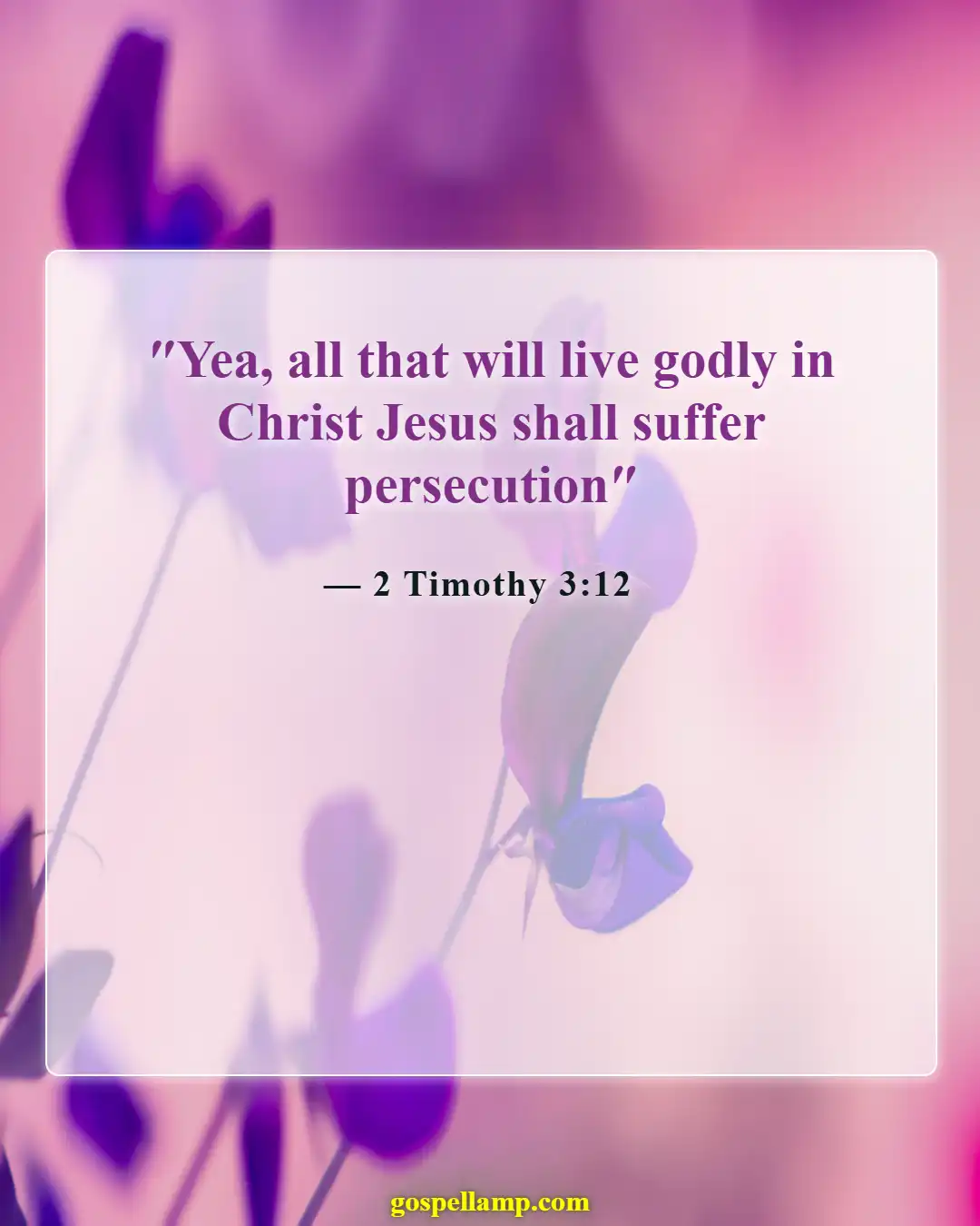 Bible Verses About Bless Those Who Persecute You (2 Timothy 3:12)