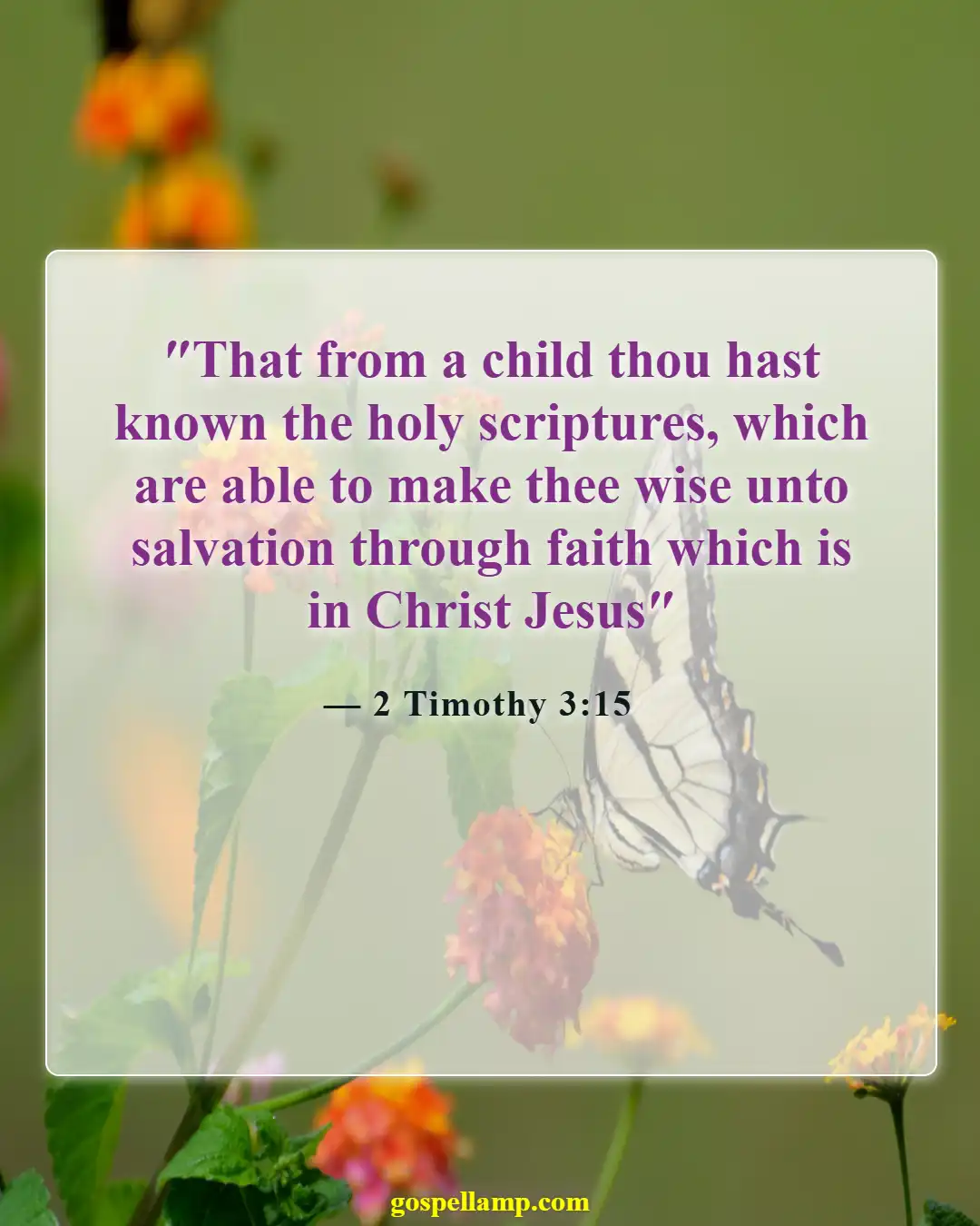 Bible Verses About Raising Your Child (2 Timothy 3:15)