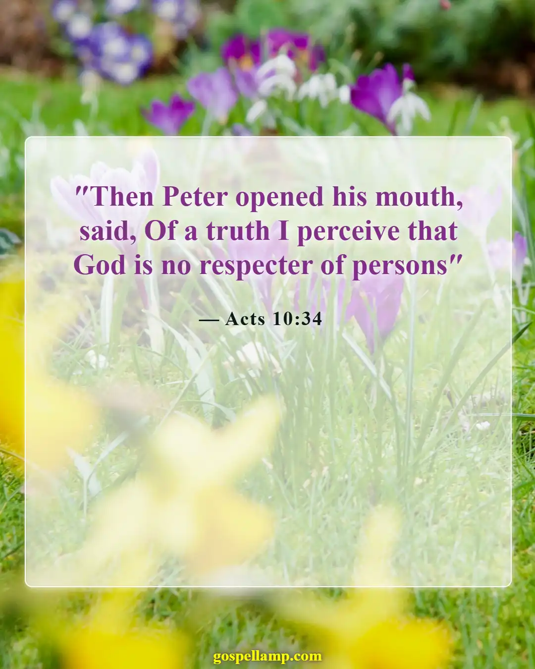 Bible Verses About Cultural Diversity (Acts 10:34)