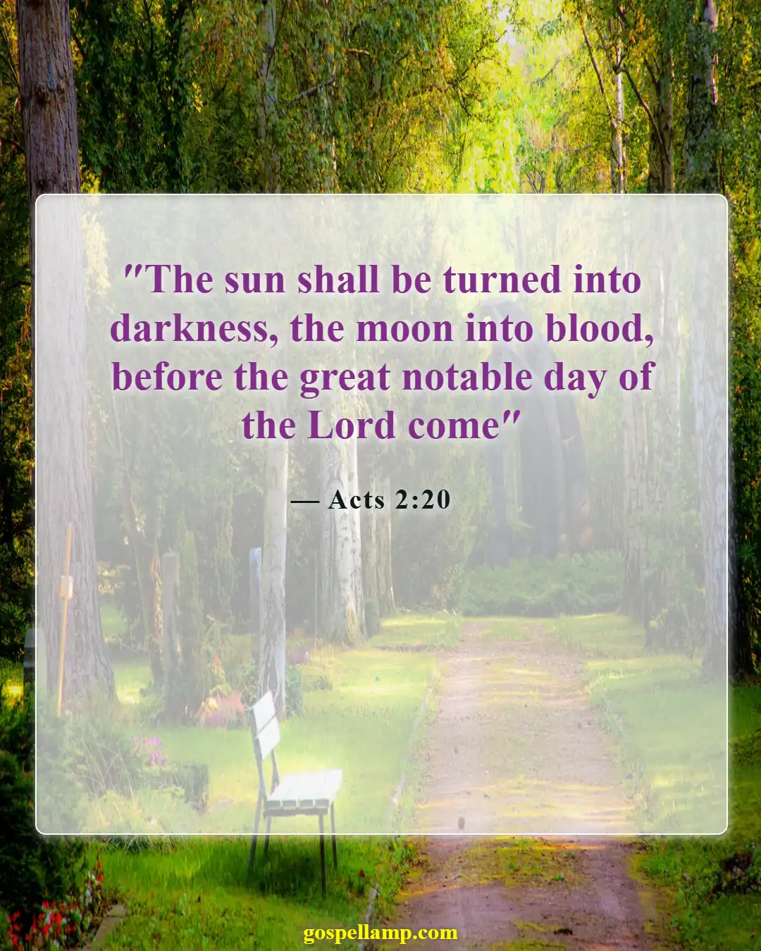 Bible Verses About Sun (Acts 2:20)