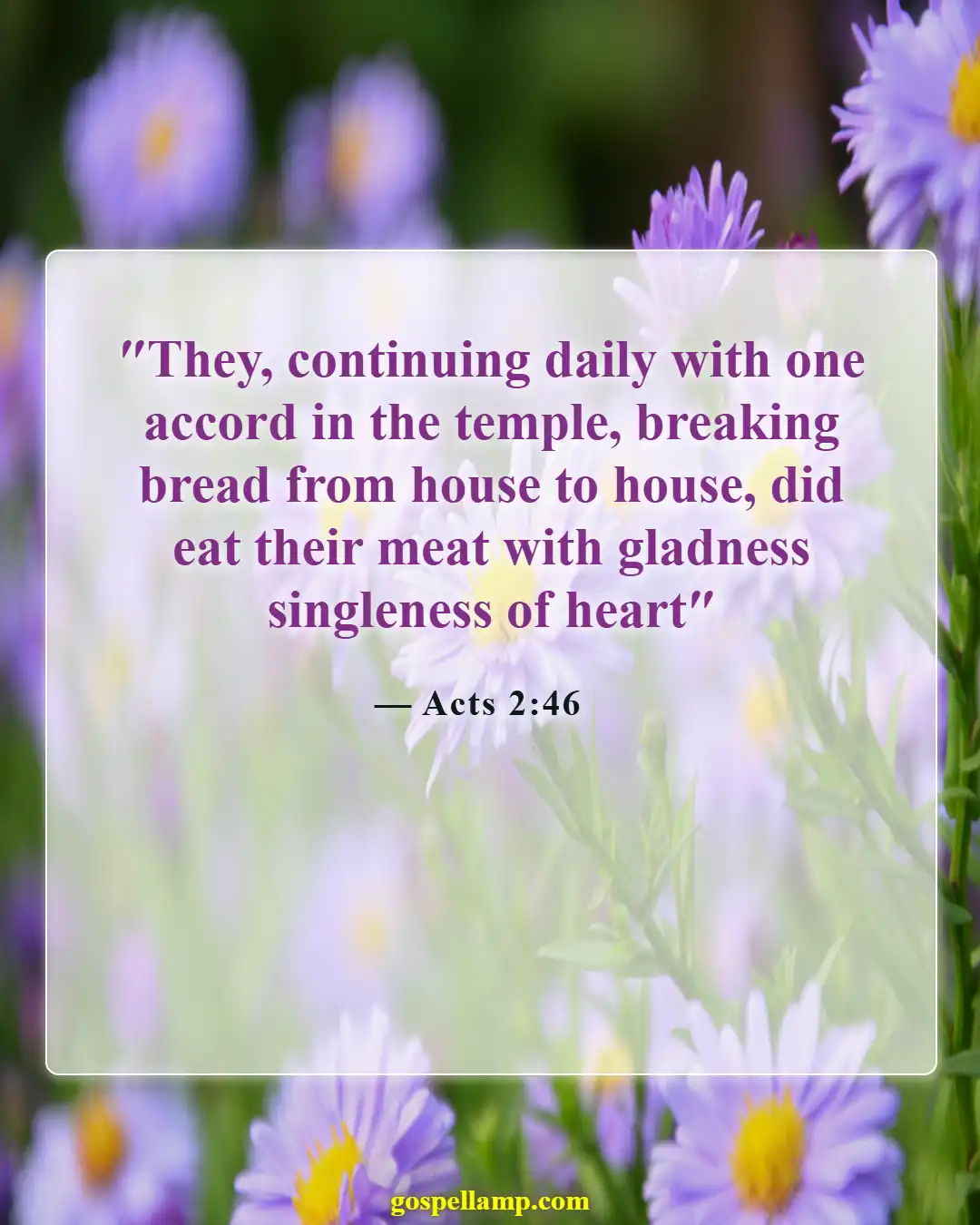 Bible Verses About Fun (Acts 2:46)