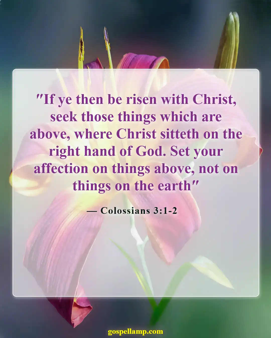 Colossians 3:1-2 :- Set your minds on heavenly things
