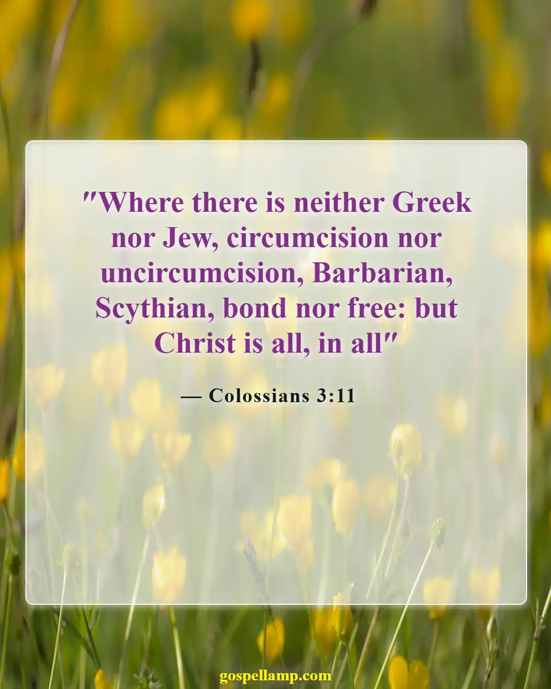Bible Verses About God Accepting Everyone (Colossians 3:11)