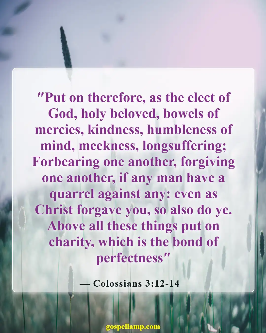 Colossians 3:12-14 :- Compassion and love in relationships with others